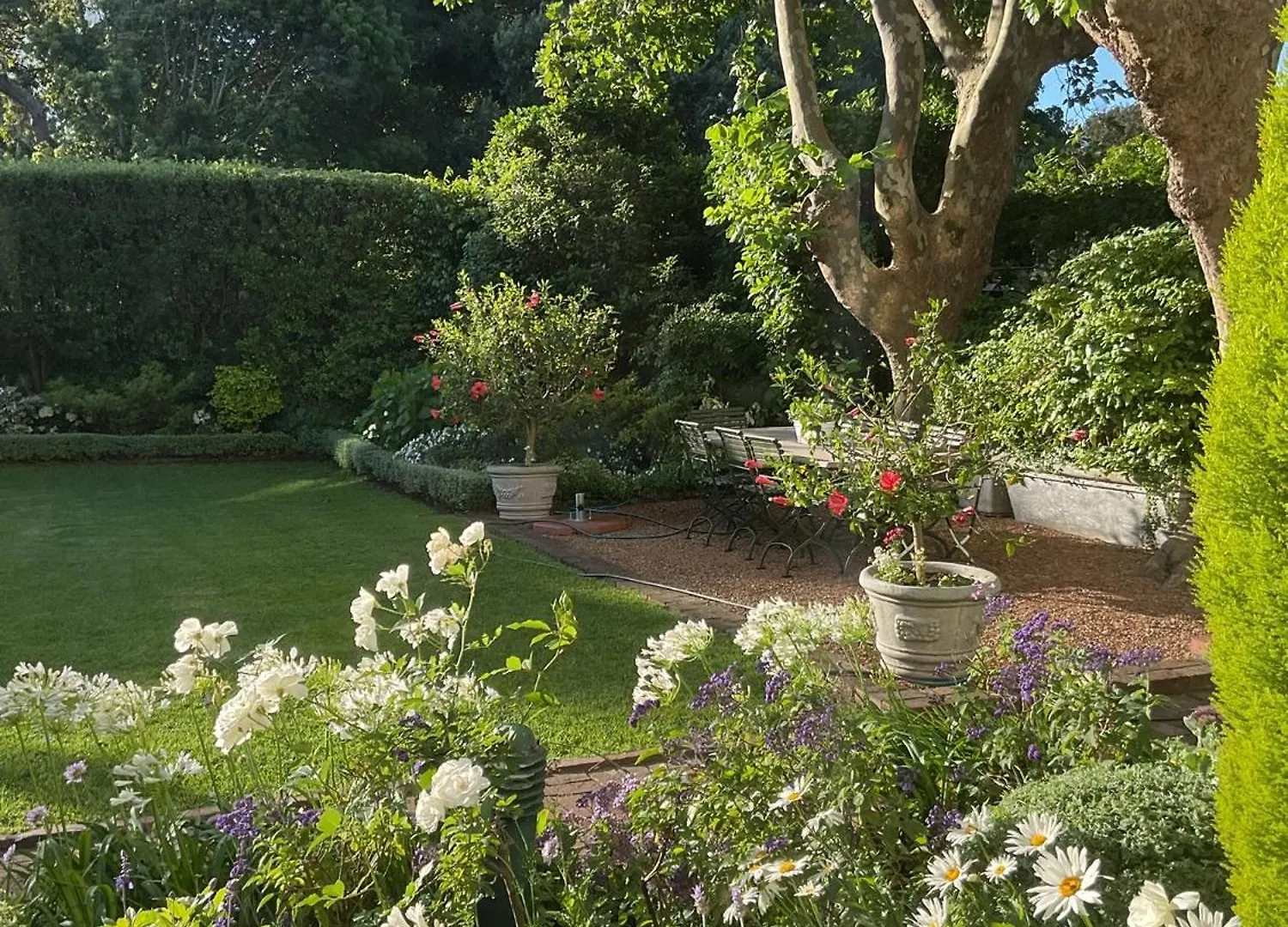 Sandown Lodge Cape Town Bed & Breakfast