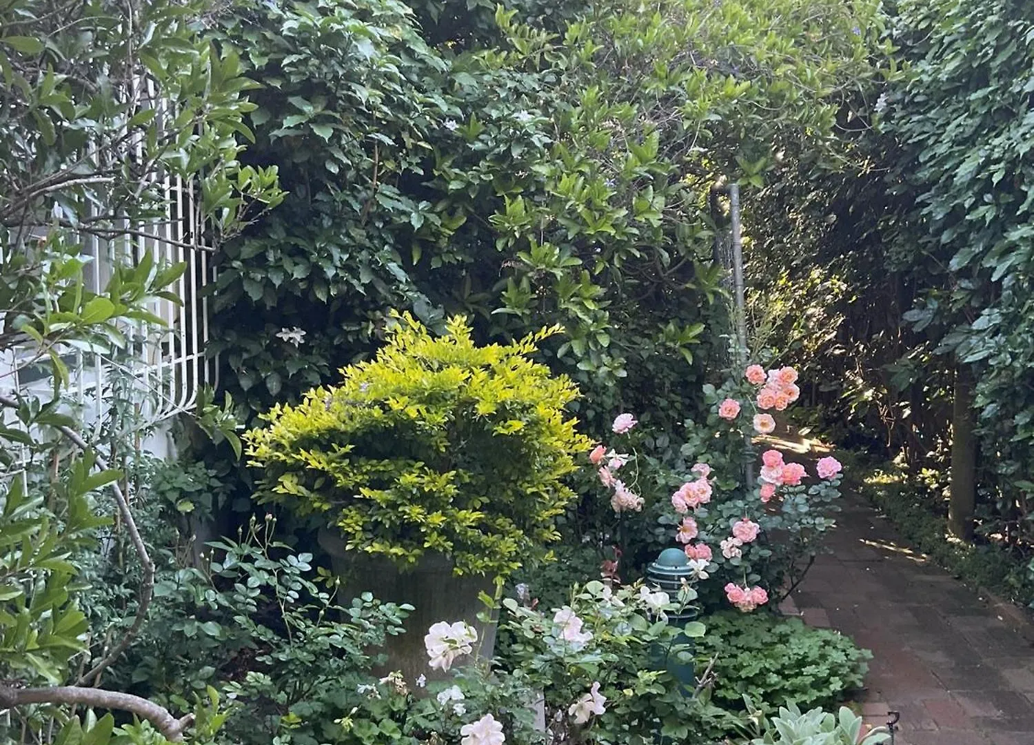 Sandown Lodge Cape Town Bed & Breakfast