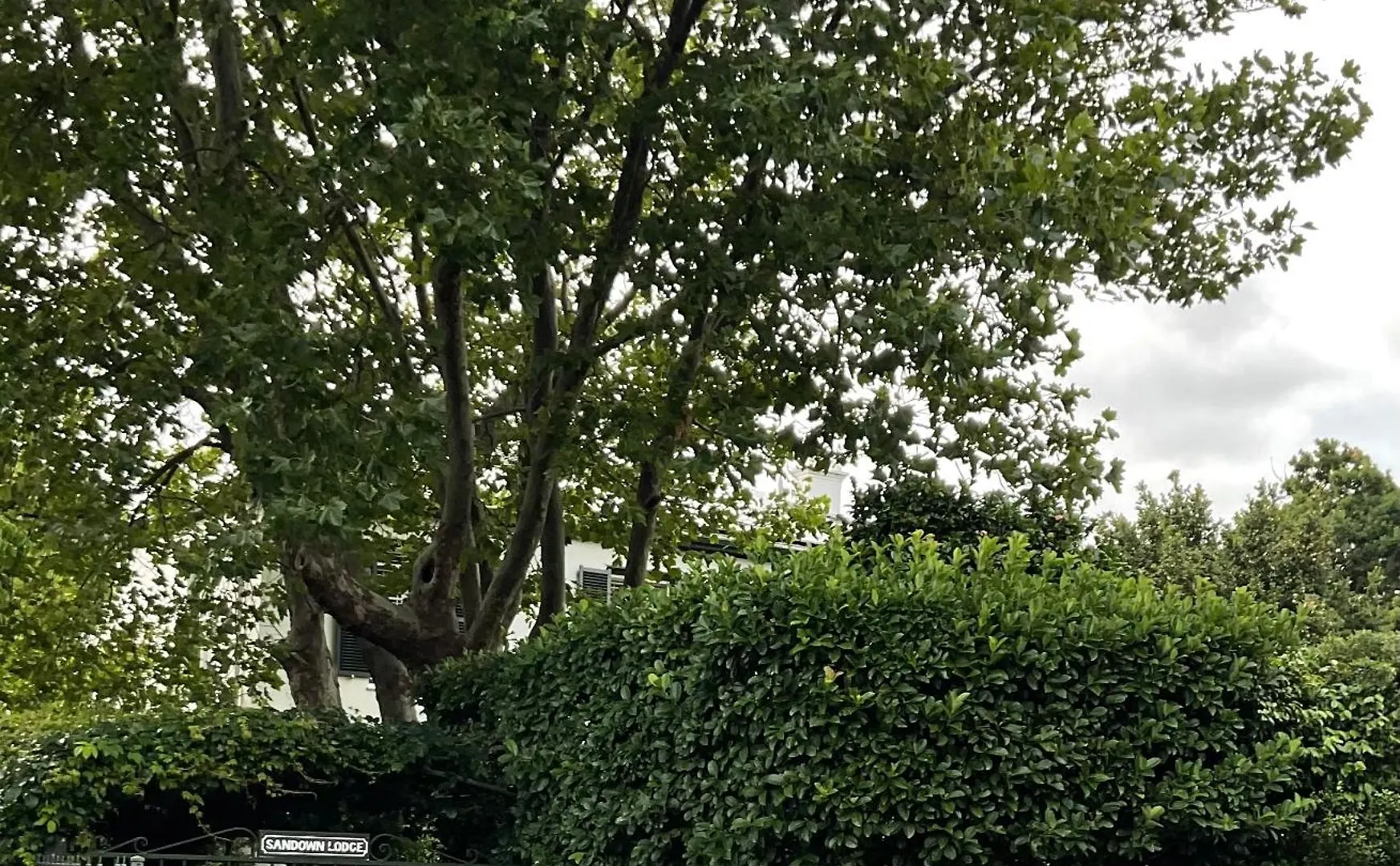Oda ve Kahvaltı Sandown Lodge Cape Town